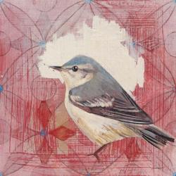 Cerulean Warbler | Obraz na stenu
