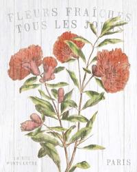 Fleuriste Paris III | Obraz na stenu