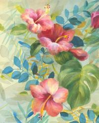 Hibiscus Garden II | Obraz na stenu