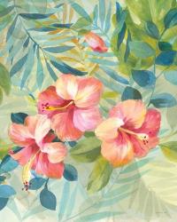 Hibiscus Garden III | Obraz na stenu
