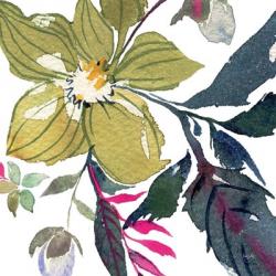 Hellebore Ya Doing I | Obraz na stenu