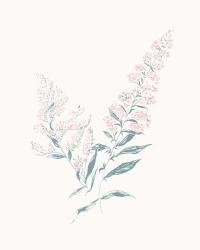 Flowers on White I Contemporary | Obraz na stenu