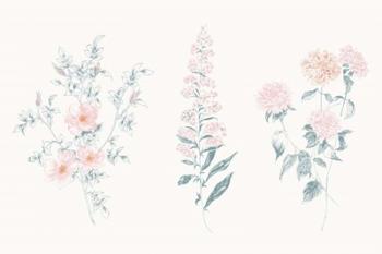 Flowers on White IX Contemporary | Obraz na stenu