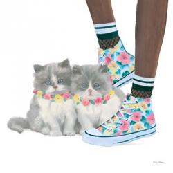 Cutie Kitties VII | Obraz na stenu