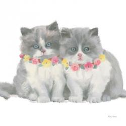 Cutie Kitties VIII | Obraz na stenu