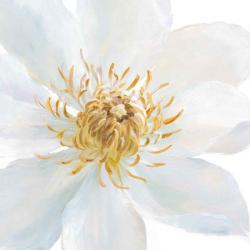 Contemporary Clematis Gray | Obraz na stenu