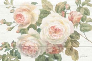 Vintage Roses White on Shiplap Crop | Obraz na stenu