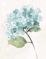 Antique Floral on Cream I Blue | Obraz na stenu