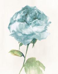 Antique Floral on Cream II Blue | Obraz na stenu