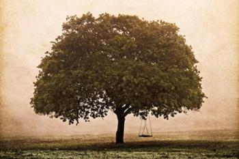 The Hopeful Oak | Obraz na stenu