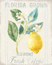 Floursack Lemon I | Obraz na stenu