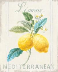 Floursack Lemon III | Obraz na stenu