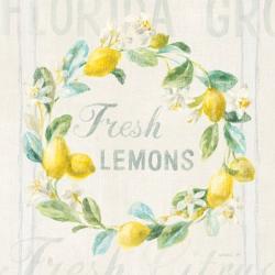 Floursack Lemon V | Obraz na stenu