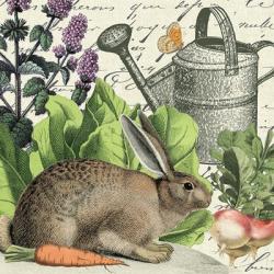 Garden Rabbit I | Obraz na stenu