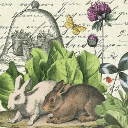 Garden Rabbit II | Obraz na stenu