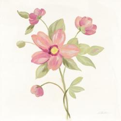 June Bloom III | Obraz na stenu