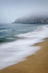 Gray Whale Cove | Obraz na stenu