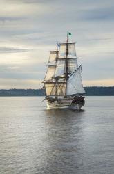 Lady Washington I | Obraz na stenu