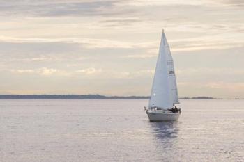 Sailboat in Semiahmoo Bay | Obraz na stenu