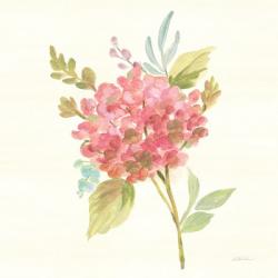 Petals and Blossoms VII | Obraz na stenu