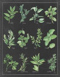 Herb Chart on Black White Border | Obraz na stenu