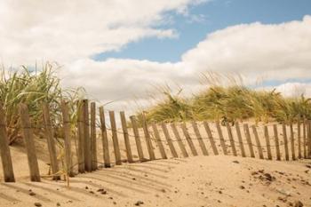 Beach Dunes I | Obraz na stenu