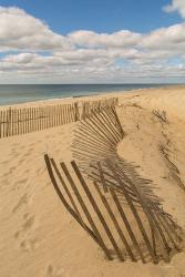 Beach Dunes II | Obraz na stenu