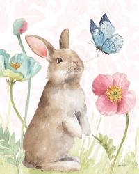Spring Softies Bunnies  II Pink | Obraz na stenu