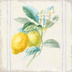 Floursack Lemons II Sq Navy | Obraz na stenu
