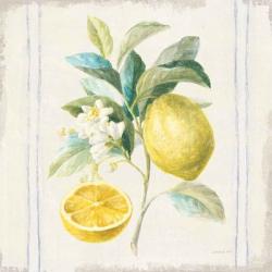 Floursack Lemons IV Sq Navy | Obraz na stenu