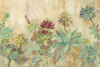 Succulent Garden | Obraz na stenu
