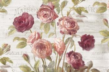 French Roses I | Obraz na stenu