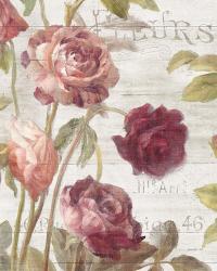French Roses II | Obraz na stenu