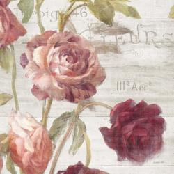 French Roses IV | Obraz na stenu