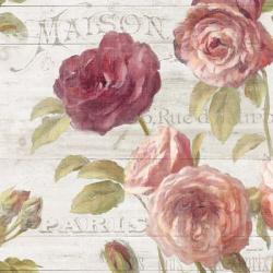 French Roses V | Obraz na stenu