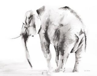 Lone Elephant Gray Crop | Obraz na stenu