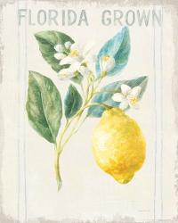 Floursack Lemon I v2 | Obraz na stenu