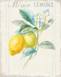 Floursack Lemon II v2 | Obraz na stenu