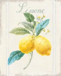 Floursack Lemon III v2 | Obraz na stenu