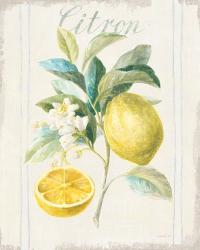 Floursack Lemon IV v2 | Obraz na stenu