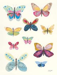 Butterfly Charts I | Obraz na stenu