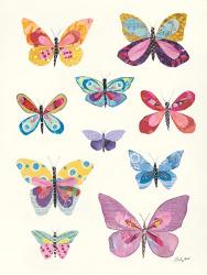 Butterfly Charts II | Obraz na stenu