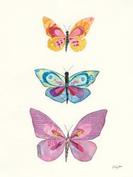 Butterfly Charts III | Obraz na stenu