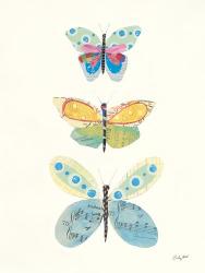 Butterfly Charts IV | Obraz na stenu