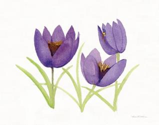 Easter Blessing Flowers VII | Obraz na stenu