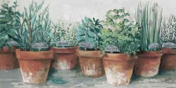 Pots of Herbs II Cottage | Obraz na stenu