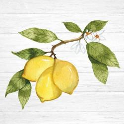 Citrus Garden I Shiplap | Obraz na stenu