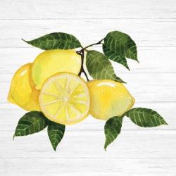 Citrus Garden VI Shiplap | Obraz na stenu