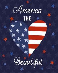 America The Beautiful VI | Obraz na stenu