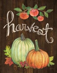 Autumn Harvest IV Walnut | Obraz na stenu